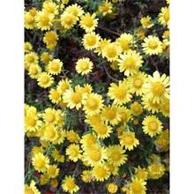 Ұ�ջ��N�Ӿջ��N�Ѷ����������ļ��_������ͥԺ���@�̨�҃��׻�