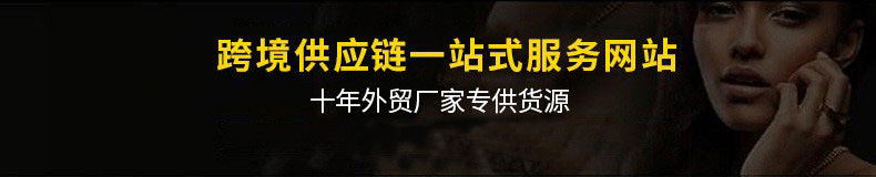 跨境热销高级感小众气质耳环女新款设计感网红轻奢法式锆石耳扣详情1