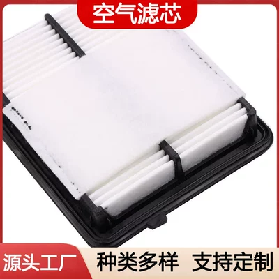 Conditioning Filter Element Oil – Air filter