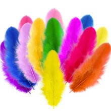 ���Sֱ�Ndiy��ɫ��ëĸ�uë5-10cm��ë��ɫ������Y��������