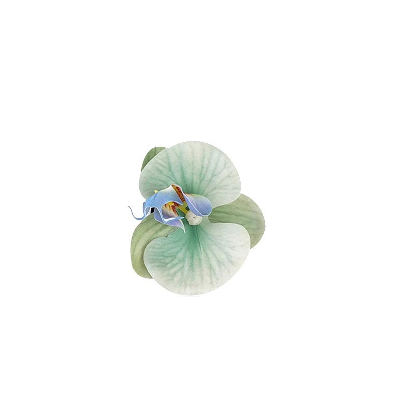 2025 flores de iris orquídea de mariposa perla clip de cabello super hadical primavera clip de frangeo clip de cabello lateral de cabeza