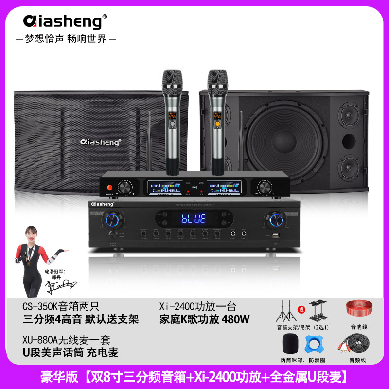 QIASHENG 家庭KTV音响套装卡拉OK点歌机专业音箱全套K歌影院设备|undefined