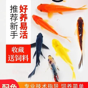 �^�p�~�ݽ��~���B�������~С�~���~С������B�ͻ����~��������~