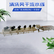 野菜青菜高压喷淋气泡清洗机 中药材清洗机 果蔬清洗加工流水线