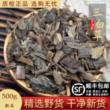 三白草材500克三白草全草塘边藕百节藕白花三白草