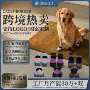 网面透气夏季软底狗鞋