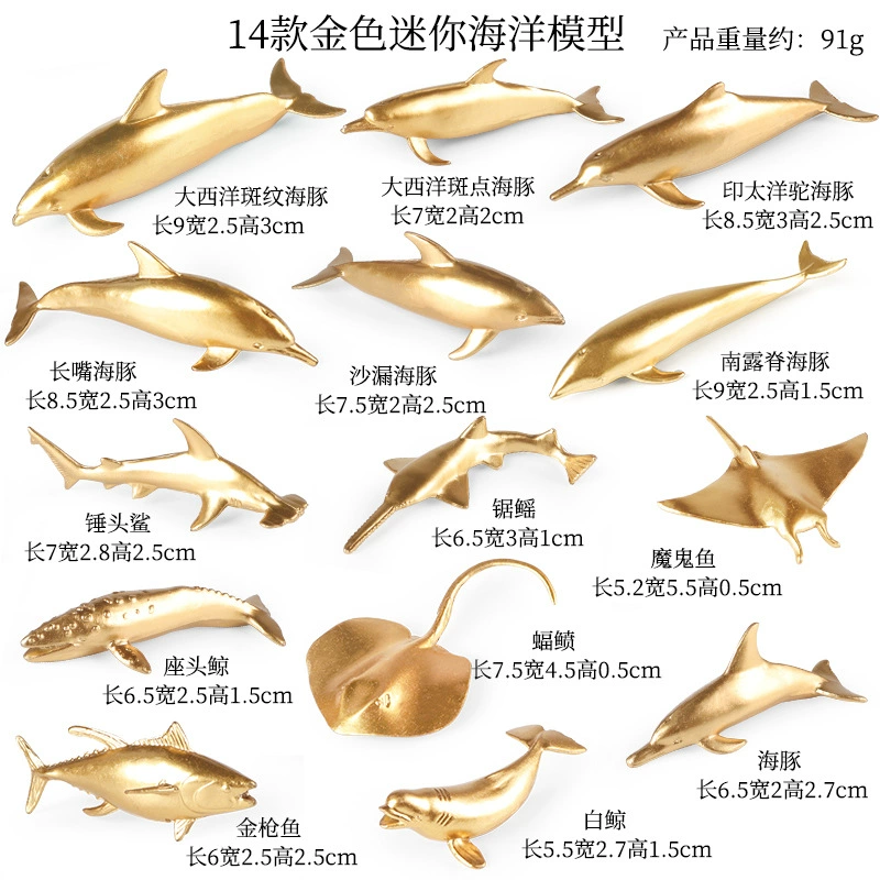 Cognitive realistic marine animal model, dinosaur, toy