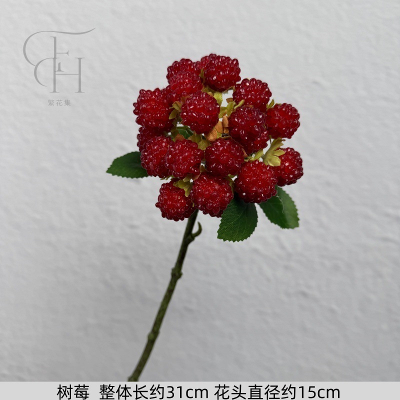El Raspberry
