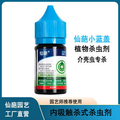仙葩介壳虫专杀6%阿维啶虫脒多肉蚧壳虫杀虫药植物喷剂杀虫剂