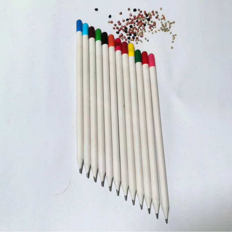 Producción y procesamiento de semillas ecológicas en la fábrica de origen, lápiz de germinación respetuoso con el medio ambiente, lápiz de germinación de plantas