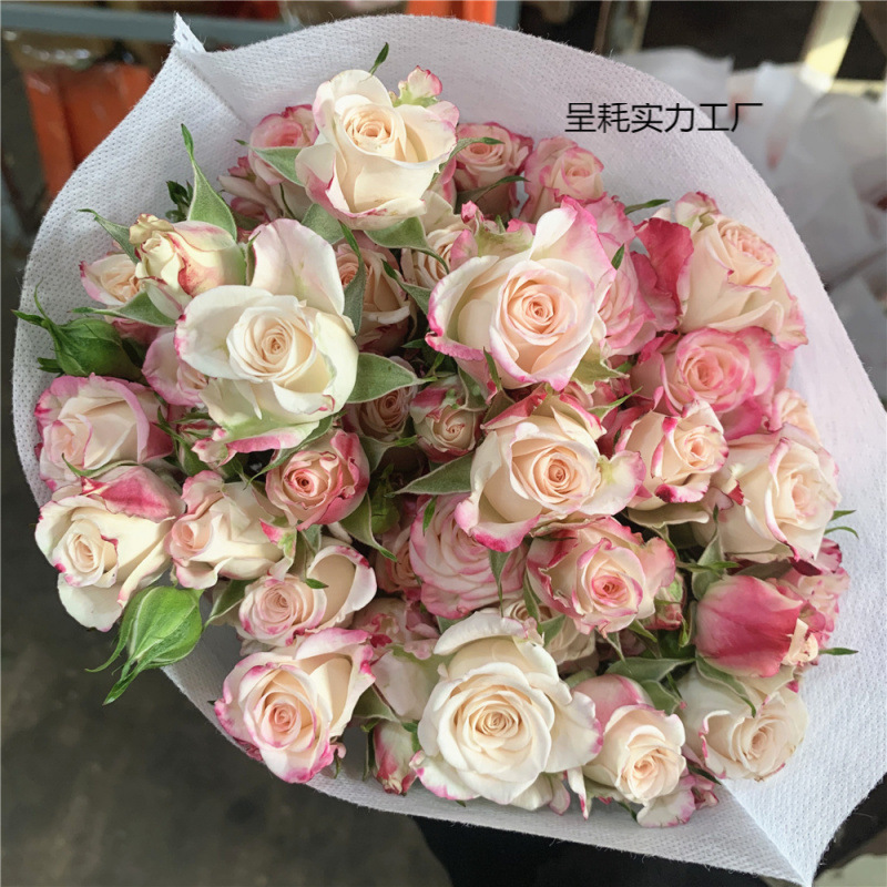 多头泡泡小玫瑰蔷薇花百合家用鲜花水养花家包邮情人节|undefined