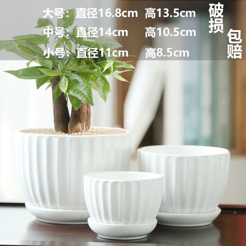 大きな白い植木鉢3点セット / ビッグセラミック