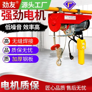 微型电动葫芦220V家用吊机提升机小型1吨0.5吨装修卷扬升降起重机