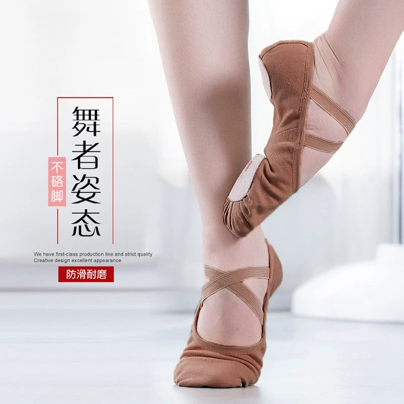 Танцевальная обувь из эластичной ткани с песней для танцев, женская обувь на мягкой подошве, обувь для тренировок, показывающая боди, обувь для подъема кошачьего когтя, балетки