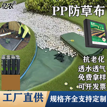 PP ���ݲ�͸ˮ͸����˺���ô���@�ֹ��@�ˈ@�ó��ݲ��S�����l