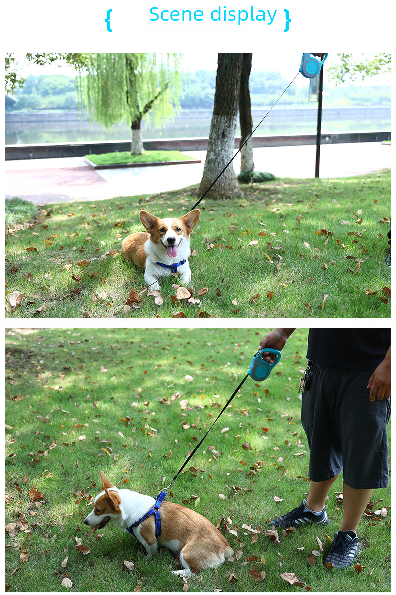 Extendable Pet Leash 10