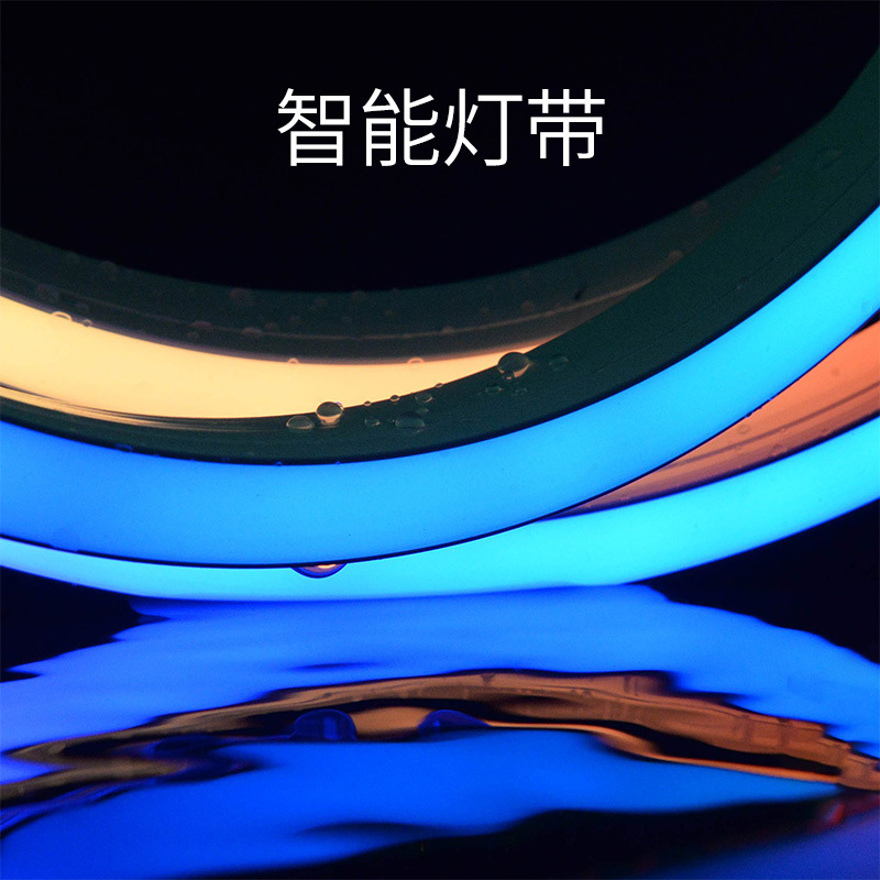柔性ul智能可编程幻彩灯带ip68户外防水霓虹灯带嵌入式软硅胶灯条