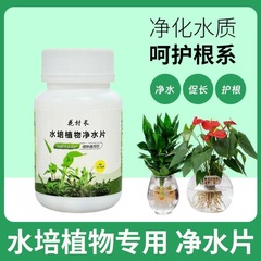 水培植物浄水片消毒片生花保鮮富貴竹栄養液花屋浄化水質