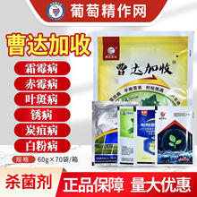 ���_���՚����M�� ���Ѽ׭h�������Ѿ���ϩ����������i�\�rș