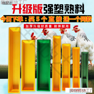 ��ˮ���Z�u���L�lι����ˮ���L������ʳιʳ���Ϻ��u�������l