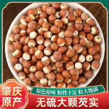 �͌�500g��ș�����r�ؑc��؛Ƿ���͌����u�^������޲�״Č�