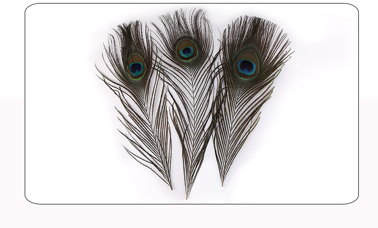 宇略孔雀毛_11.jpg