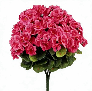 ���溣�Ļ����R�d���ÿ��z���Ҿ�ͥԺ�Gֲ���滨�������ÿ羳����