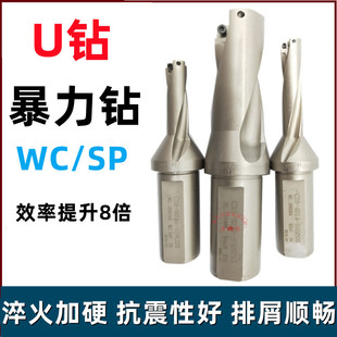 U荵��U�������^WC/SP��Ƭƽ�����܇���Ç�ˮ����� 2/3/4/5��