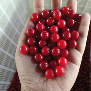 �tɫ��ɰ�������ɢ��DIY�@ָ��������龫��������A��ɢ�����l