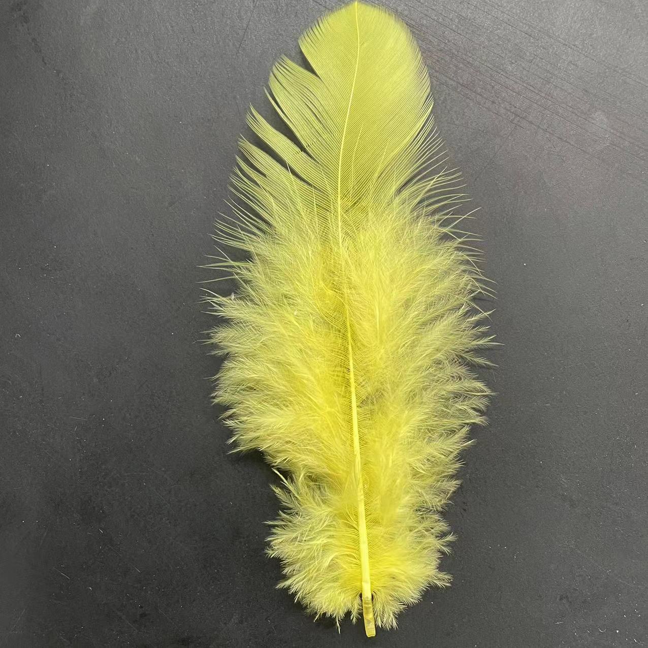 微信图片_20240419105414