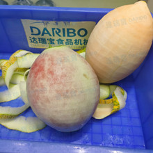 l�B�mʽˮ��ȥƤ�C���� ���ܹ���Ƥ�C�����Ƥ�O�� Ananas Peeler