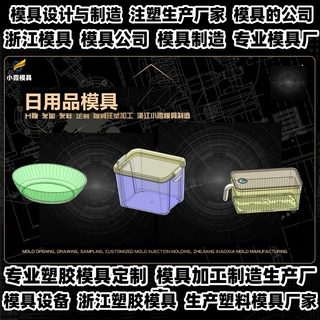 专业塑料模具厂家 医疗器械注塑模具 黄岩模具厂