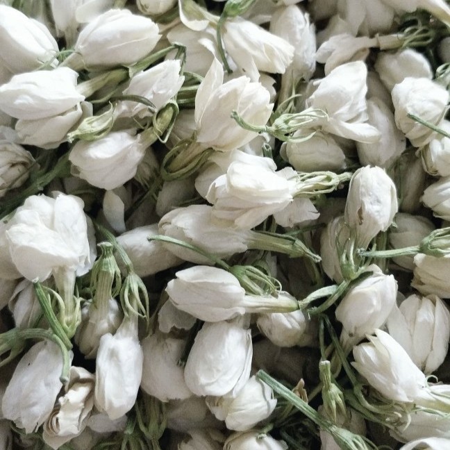 广西南宁横州市茉莉花之都，茉莉大花蕾干