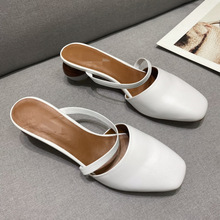 羳¿ļŮʿQԭ͸ƤƤŮЬ¸ЬЬβ