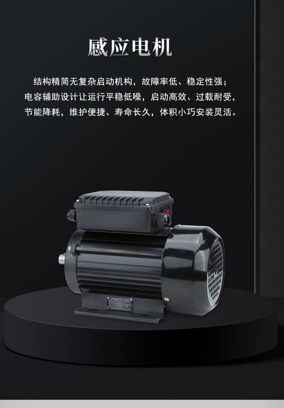 Botuo Feige Sgl Series High-Pressure Cleaning Machine with Hose Reel, 220V High-Power High-Pressure Car Washer