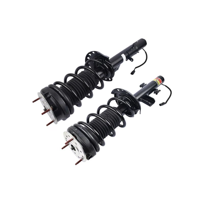 Rear Electric Shock damping system