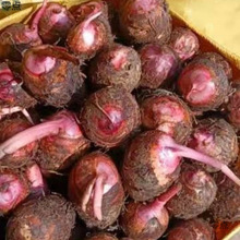 �a��ֱ�l���r���Ŵ��ܵ�����r���ԷNС���^��Ŵ����С���^�N����