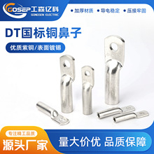 DT国标铜鼻子铜接头DT10/16/25/35/50/70-500平方接线端子堵油