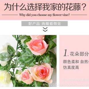 ���컨��õ�廨�������lĹ�ؒ�Ĺ������컨�b�������������