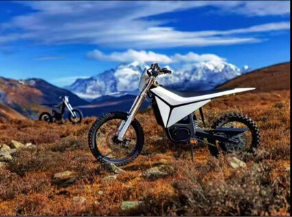 79Bike Electric Off-Road Motorcycle Y-Volt High-Performance 35Kw Track Version Endurance Race Mountain Electric Bike