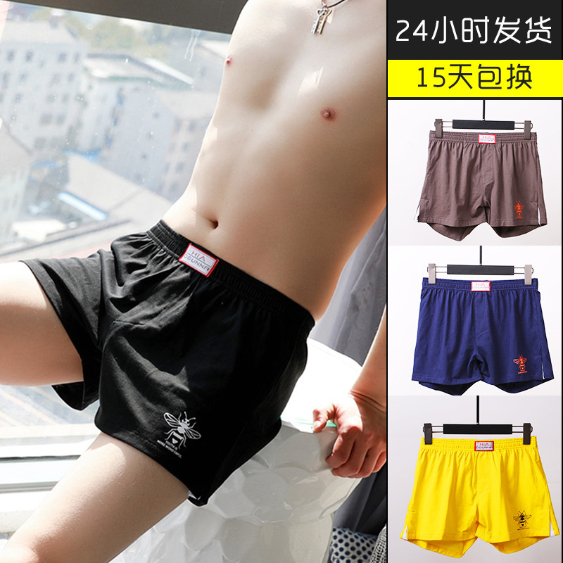 阿羅褲男士純棉寬鬆平角褲大碼四角褲居家休閒運動內褲潮流男睡褲