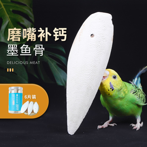 African Grey Parrot Training Treats: Bread Insects, Millet Insects, Cuttlebone, Tiger Tail Finches