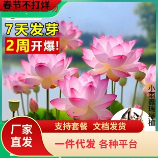 һ�����l�^�p�ɻ�����ˮ�Bɏ��ź�N����ɏ˯ɏ���ܷN����ˮ�����