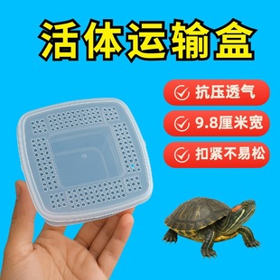 Turtle Live Hermit Crab Reptile Breathable Pressure-Resistant Transport Box with Buckle Not Easy to Loosen Free Shipping Breathable Bag Pet