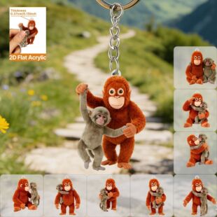 �羳�W�t�����ɹ����L�ۺ��Ӂ������������������耳׿ے��