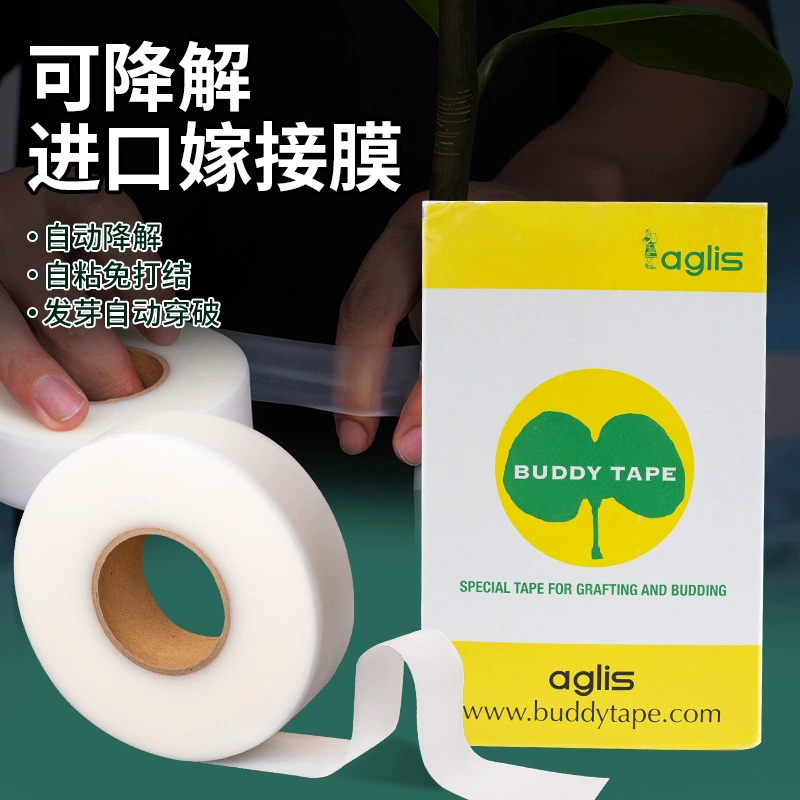 Япония импортировала клейкую рисовую бумагу для прививки aglis