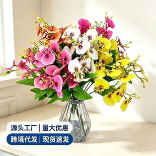 �羳ֱ���p�����컨�zƤ�����m�����m���滨�Ҿ�ͥԺ�b�����