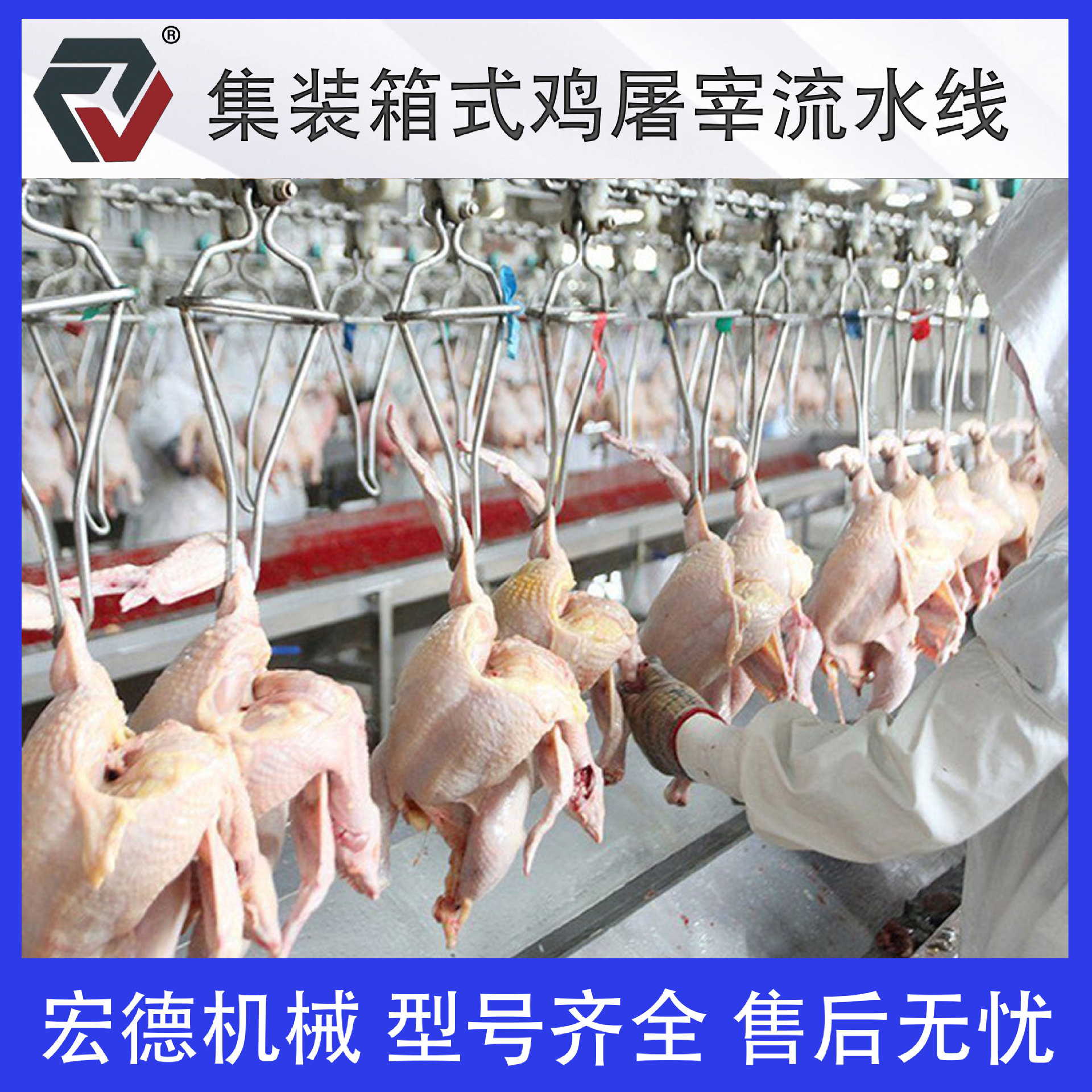 自动化家禽脱羽宰杀流水线 淘汰蛋鸡脱毛拔毛机 家禽屠宰生产线