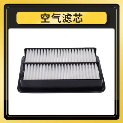 Conditioning Filter Plus Air Filter – Air conditioning filter