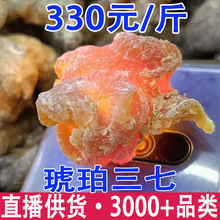 琥珀三七 琥珀竹节参 熟制竹节参当季新货 一件代发